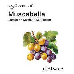 Boerenerf Muscabella