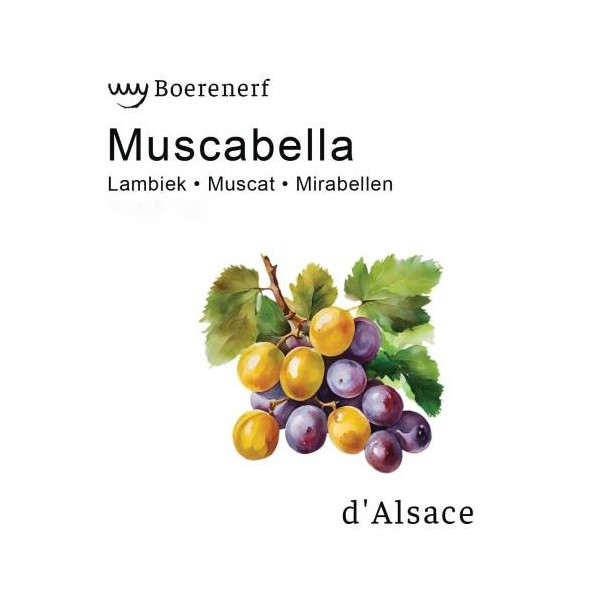 Boerenerf Muscabella